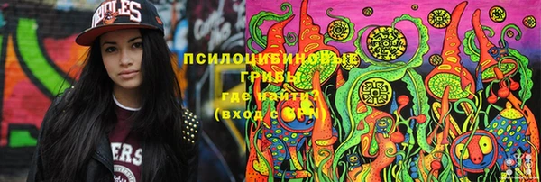 тгк Володарск