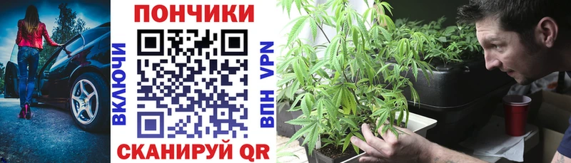 продажа наркотиков  Брюховецкая  Бошки марихуана конопля 